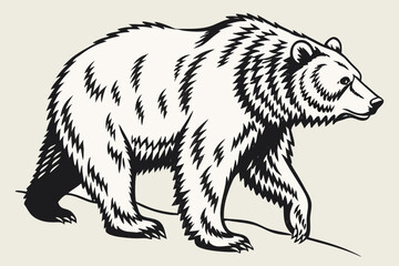 Fototapeta premium Grizzly bear in black and white animal drawing outline