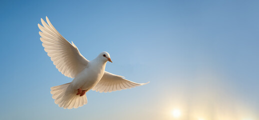 Obraz premium white dove gracefully flying across a serene blue sky, wings fully open, International Day of Peace background.