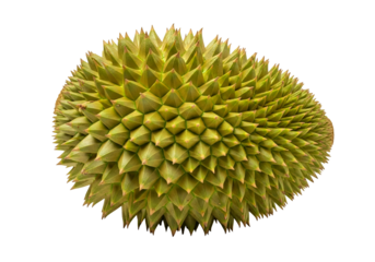 Close-up view of a durian fruit, showcasing its distinctive spiky exterior and vibrant green hues.
