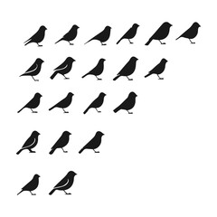 Collection of flying bird silhouettes, black vector illustrations on a white background. pigeon, fish, feather, animals, wild, silhouettes, black and white