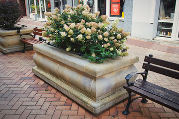A brick sidewalk with a bench and a flower pot