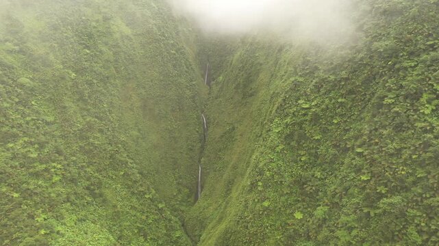 Misty gorge at Piton Alma, Martinique, with tall cascading waterfalls flowing between steep green cliffs