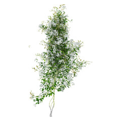 Naklejka premium collection of creeper plants with transparent background