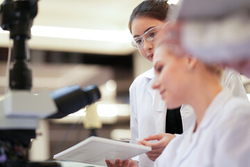 Two pathologists engage in a peer consultation, cross-referencing microscopic findings with patient data to finalize a complex histopathology report for an oncology case.