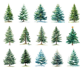 Fototapeta premium Watercolor evergreen trees collection