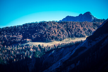 Autumn. Brushstrokes of colour paint the larch forests of the Carnic Alps. Sauris and Casera Razzo