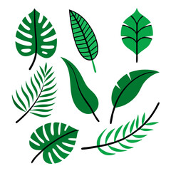 Obraz premium Tropical palm leaves, Palm, monstera, banana leaf, hibiscus, isolated on white background.