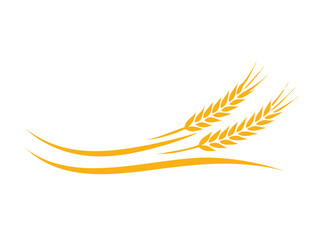 Agriculture wheat vector Illustration design template