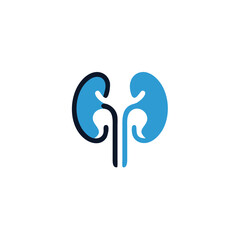 kidneys vector icon isolated on white