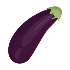 Fresh ripe purple aubergine vegetable isolated on a white background