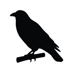 Fototapeta premium Silhouette of a crow perched upon a branch creating a dark artistic effect
