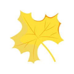Golden Autumn Maple Leaf Illustration