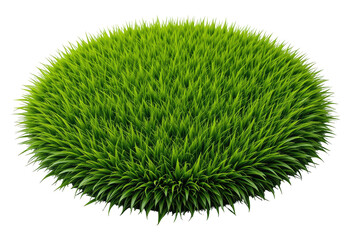 A 3D Render of a Circular Patch of Lush Grass, Cut Out, Clipping Path, Isolated on a Transparent PNG Background.
