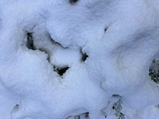 Abstract Texture of a Thick Blanket of Snow on a Bush