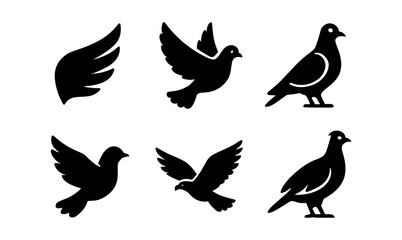 Obraz premium Silhouette set of bird and wing icons: pigeon and dove designs
