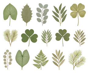 Diverse botanical leaf illustrations.
