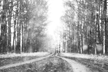 Obraz premium snowfall in the park, snowflakes on the background of branches, heavy thick snowfall abstract blurred background