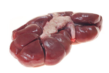 Cow kidneys on a white background
