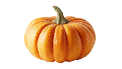 Single, orange pumpkin, ribbed texture, stem