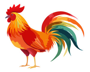 Vibrant rooster with colorful tail feathers on white background