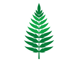 Green leaf vector illustration isolated on white background