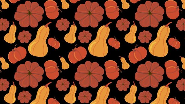 Animated background, pumpkin and squash seamless pattern scrolling on a black. Looping autumn harvest animation for Halloween or fall themes.