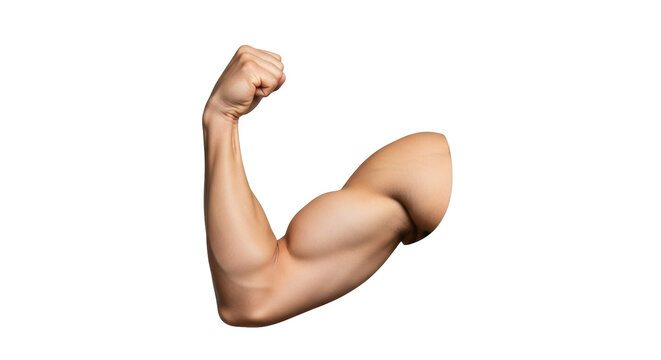Isolated arm showing muscle strength, flexing upper body, healthy arm isolated object