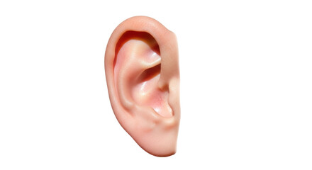 Isolated close-up of a human ear showcasing its anatomy and hearing system focus