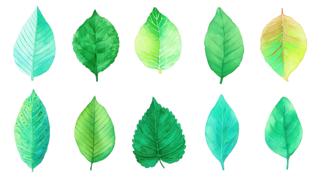 Collection Of Vibrant Green Leaves