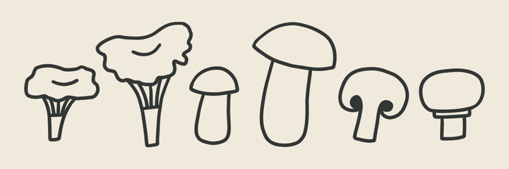 Fall Mushroom Autumn Doodle Drawing Set. Vector Outline Illustration