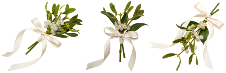 a collection of festive mistletoe sprigs with white ribbons and berries.
