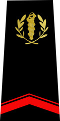 Galon du service de sant&eacute; des arm&eacute;es de terre fran&ccedil;aise: Militaire du rang: Soldat de 1&egrave;re classe	
