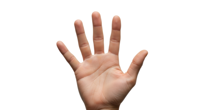 Isolated Human hand with five fingers, palm outstretched, showing anatomy, healthy