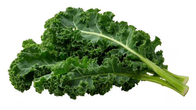 Close up shot of fresh green kale leaves with visible stems isolated against a black background