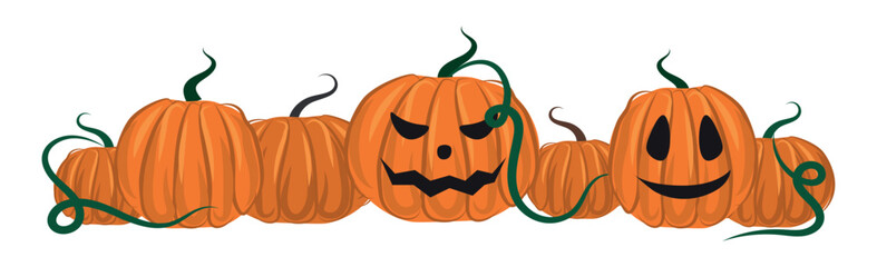 Halloween greeting of the dead, orange pumpkins on a white background - Vector illustration