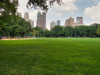 Central Park Sheep Meadow - The expansive green lawn of Sheep Meadow in Central Park, New York City, with the Midtown Manhattan skyline and people enjoying the park.