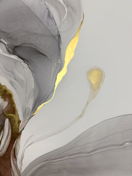 Abstract gray marble background with gold &mdash; monochrome transparent painting with potal. Beautiful smoky art made with alcohol ink. Grey natural fluid art texture resembles liquid cloud or watercolor.