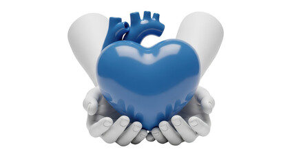 Isolated realistic heart held in cupped hands. Symbol of love, care, health, medicine