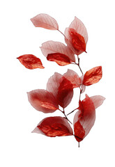 Red and pink leaves on a branch