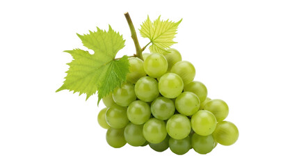 Isolated bunch of green grapes with stem and leaves, ready to eat healthy fruit snack