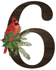 Watercolor illustration of the number 6 decorated with winter birds — cardinal, bohemian waxwing, blue jay, hoary redpoll — and Christmas plants. Perfect for monograms and festive holiday designs.