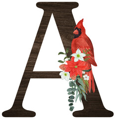 Watercolor illustration of the letter A decorated with winter birds — cardinal, bohemian waxwing, blue jay, hoary redpoll — and Christmas plants. Perfect for monograms and festive designs.