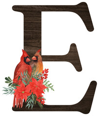 Watercolor illustration of the letter E decorated with winter birds — cardinal, bohemian waxwing, blue jay, hoary redpoll — and Christmas plants. Perfect for monograms and festive designs.