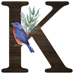 Watercolor illustration of the letter K decorated with winter birds — cardinal, bohemian waxwing, blue jay, hoary redpoll — and Christmas plants. Perfect for monograms and festive designs.