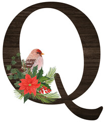 Watercolor illustration of the letter Q decorated with winter birds — cardinal, bohemian waxwing, blue jay, hoary redpoll — and Christmas plants. Perfect for monograms and festive designs.