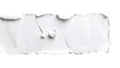 A ripped piece of white paper (1)