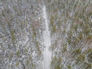 Aerial view of the road in the winter forest with high pine or spruce trees covered by snow. Driving in winter.