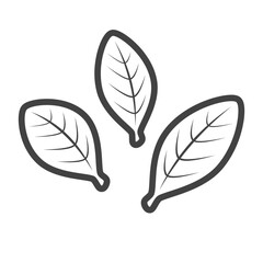 Coca leaves outline icon transparent vector isolated