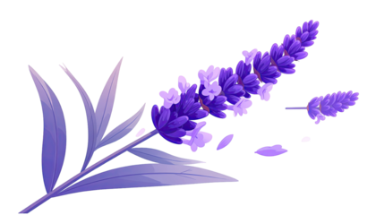 A vibrant lavender sprig, blossoms in motion