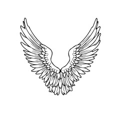 Elegant sketched wings design showcasing freedom, spirituality, and ethereal beauty, suggesting